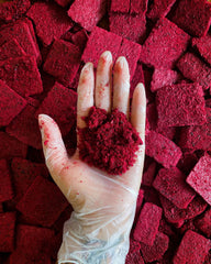Pitaya