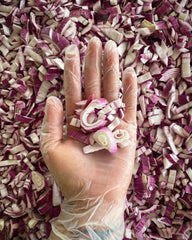 Cebolla Morada