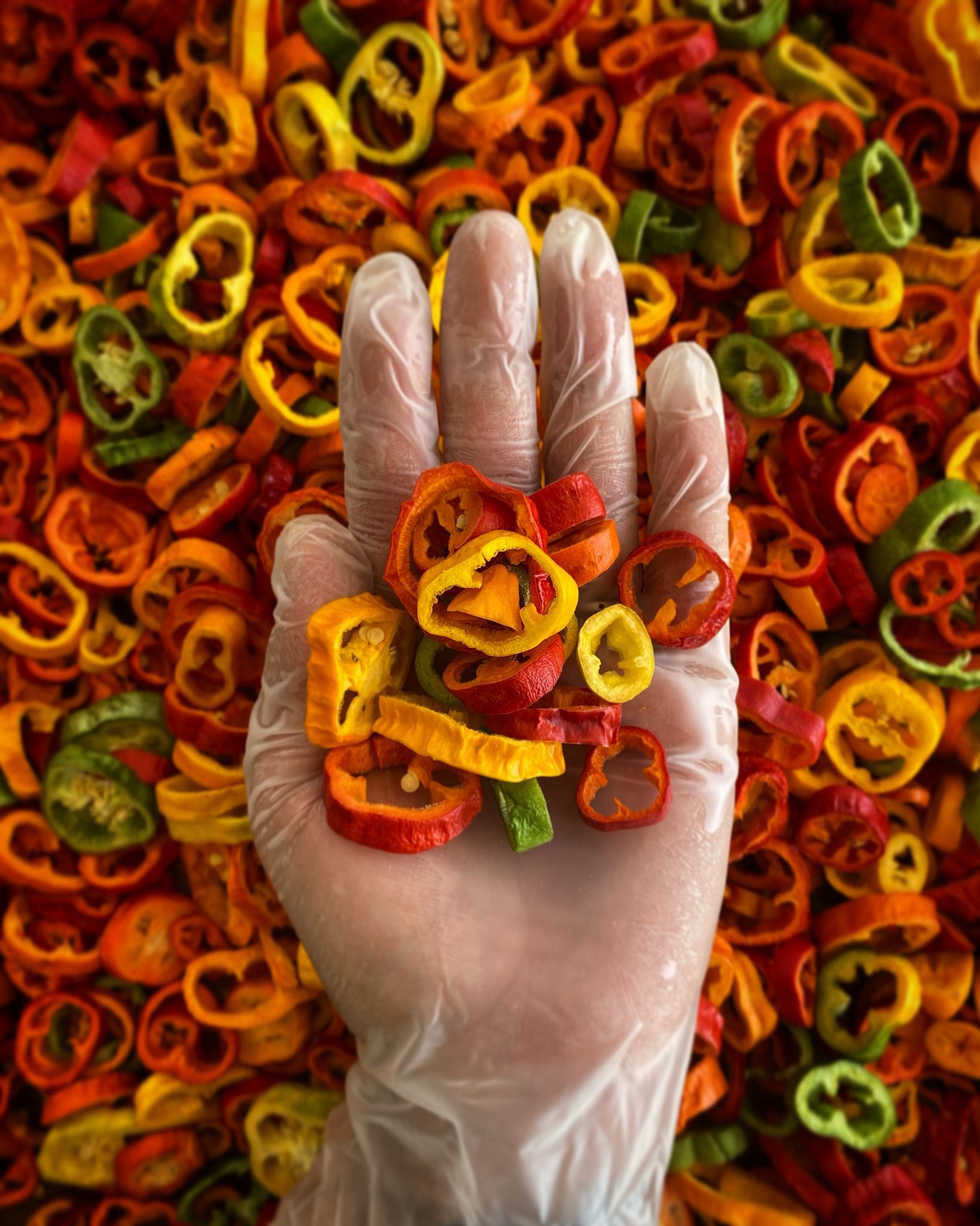 Pimiento Morrón baby