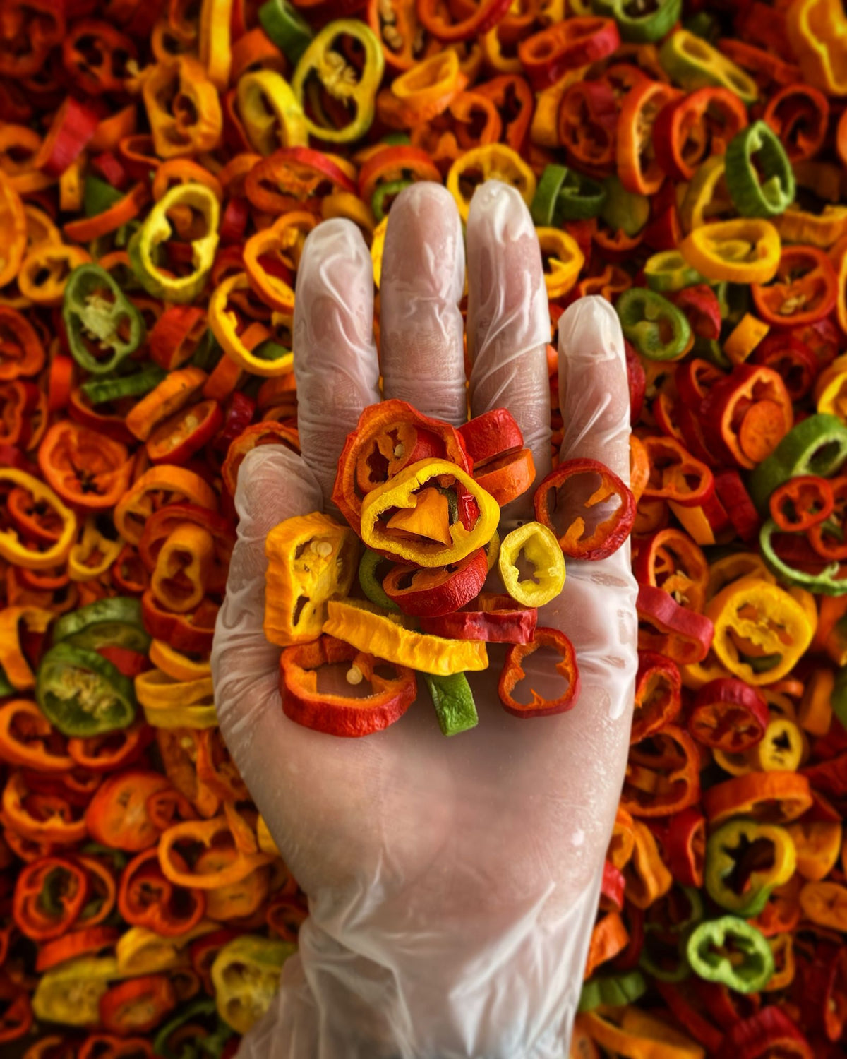 Pimiento Morrón baby