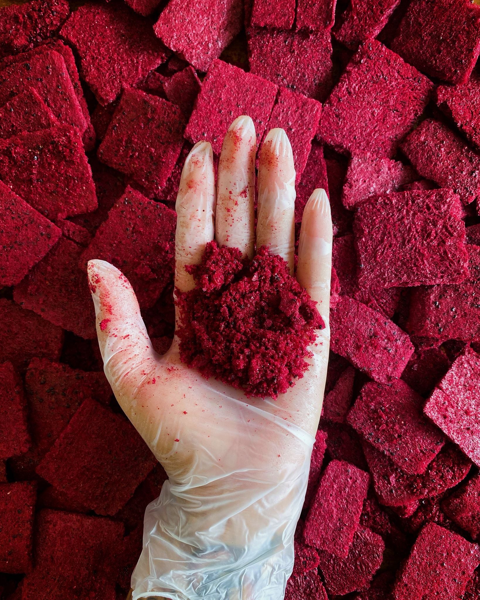 Pitaya