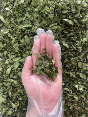 Menta
