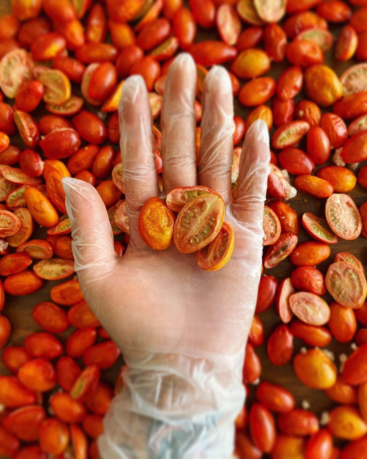 Tomate Cherry