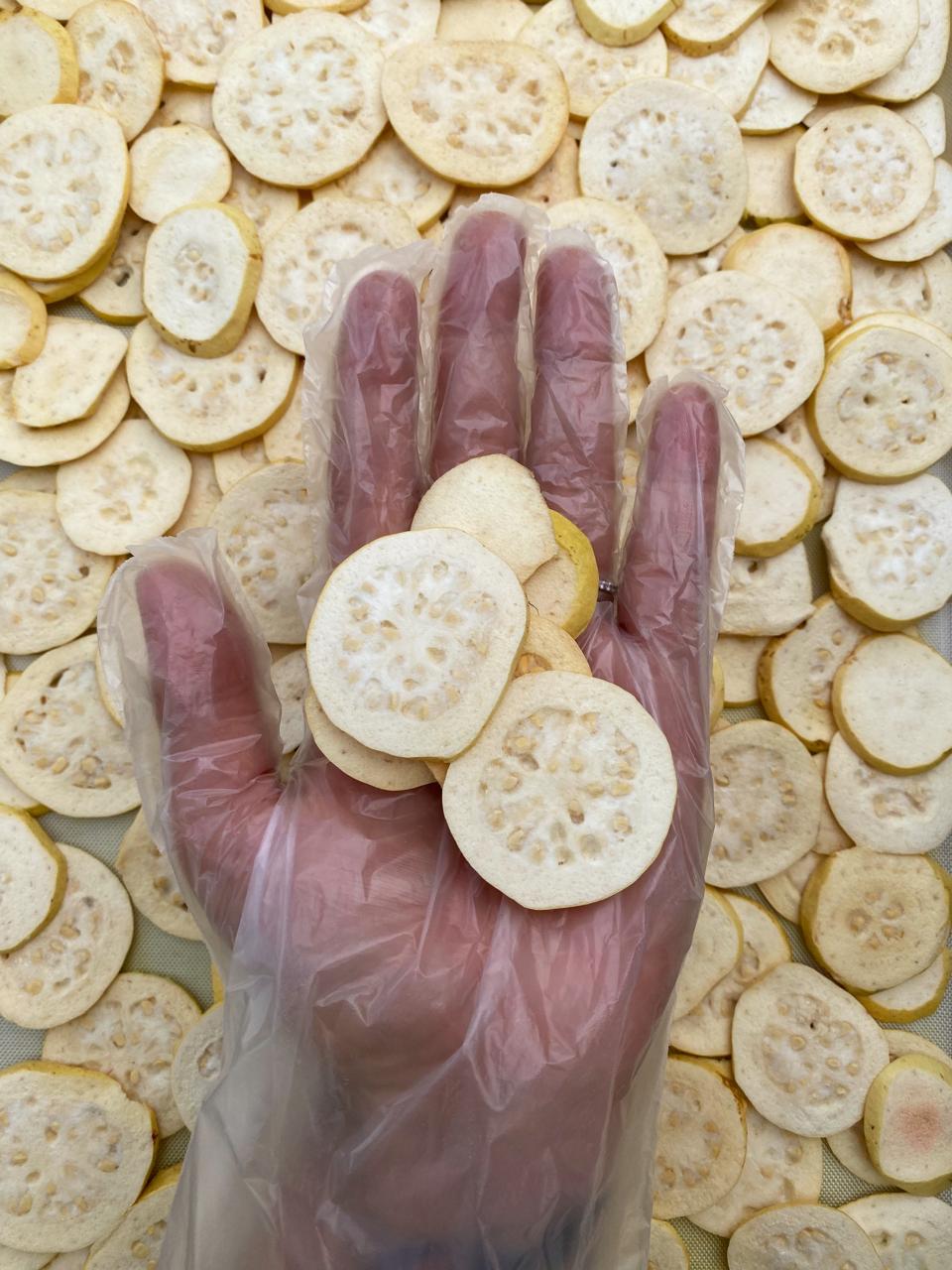 Guayaba