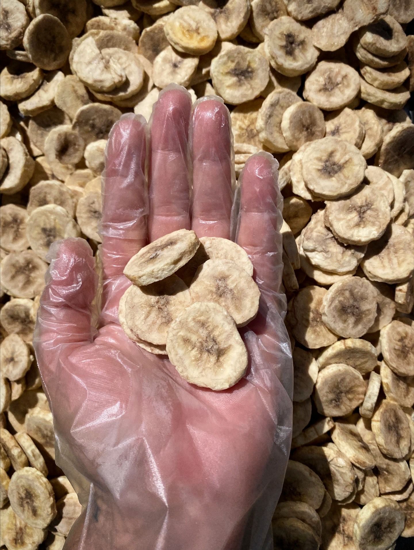 Plátano